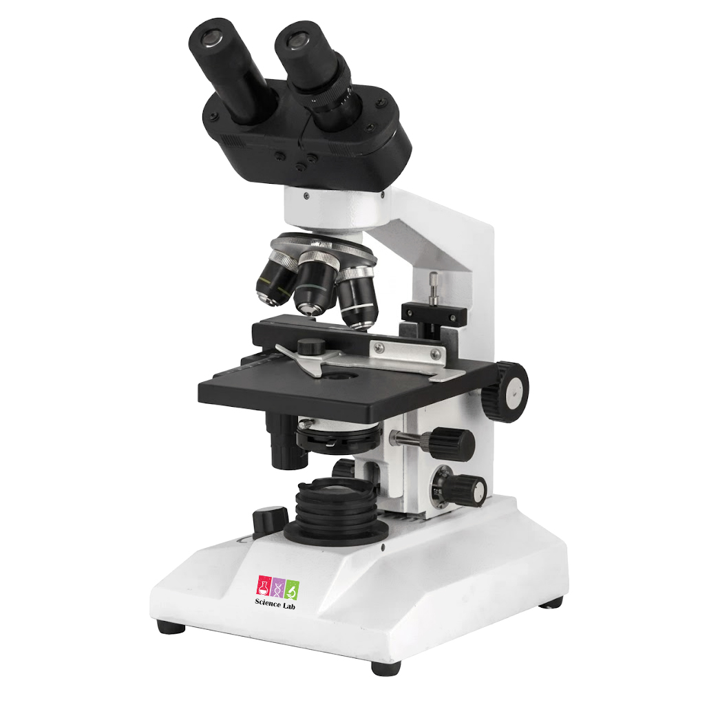 Microscope x 600