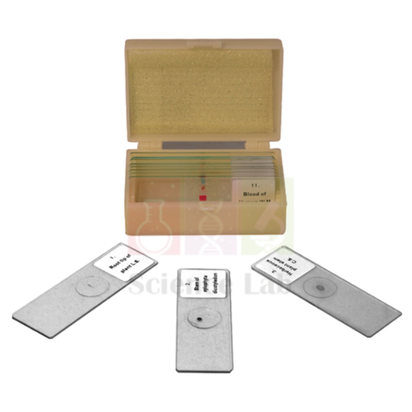 Microscopic Preparations for Zoology