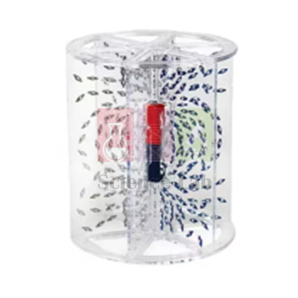 Three-Dimensional Magnetic Force Demonstrator